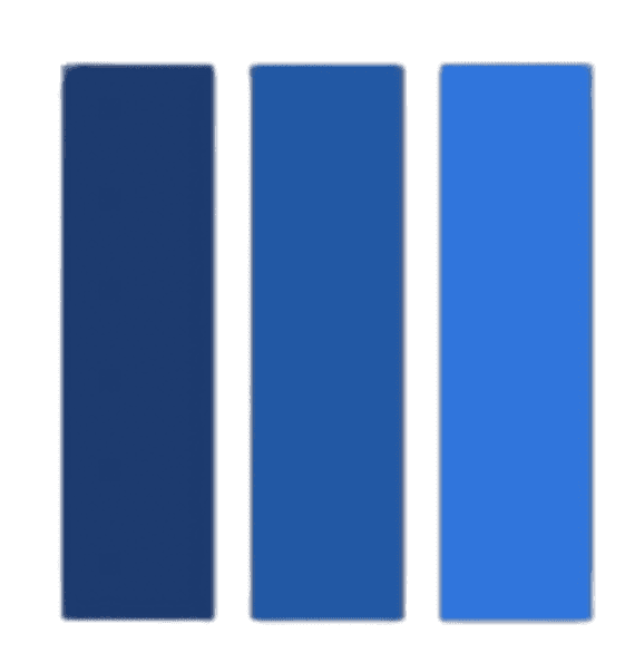 vsf holdings logo