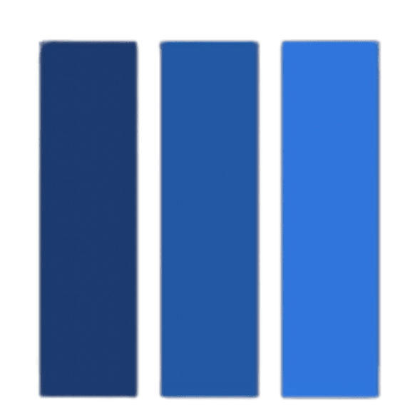 VSF Holdings